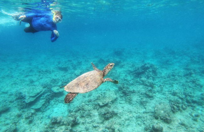 Mergulho com Snorkel de 3 Pontos - Foto 7